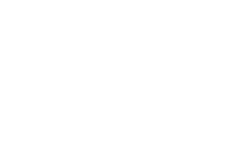 Decorative section background