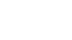 Decorative section background