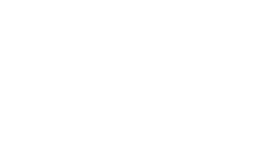 Decorative section background
